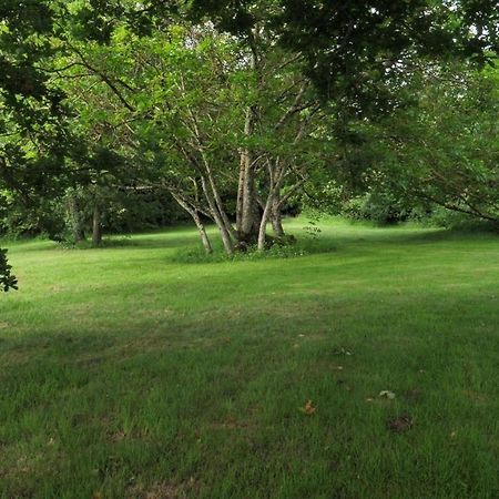 Villa Au Chemin De Mazous Laguian-Mazous Esterno foto